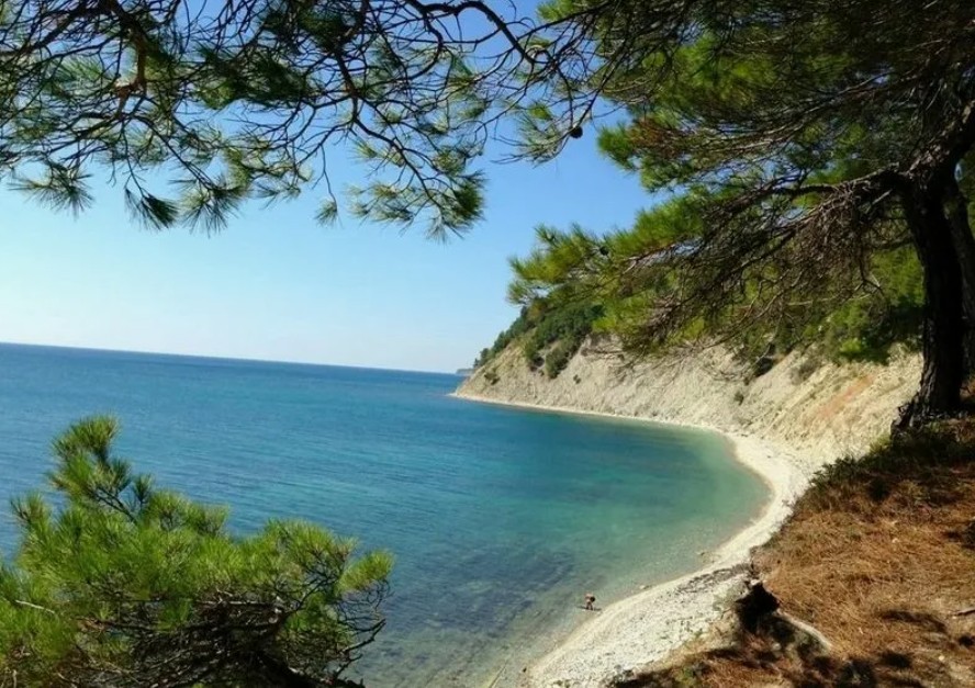Отдых на побережье Чёрного моря